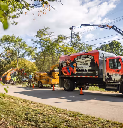 Tree service